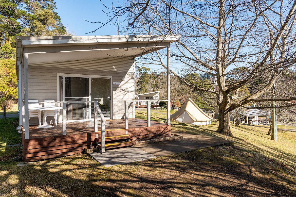 Blue Mountain Cabins — photo 3